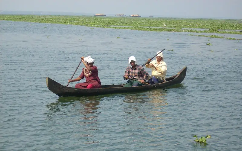 Kerala Country Boat
