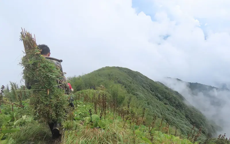 Porter on Mount Mugaphi