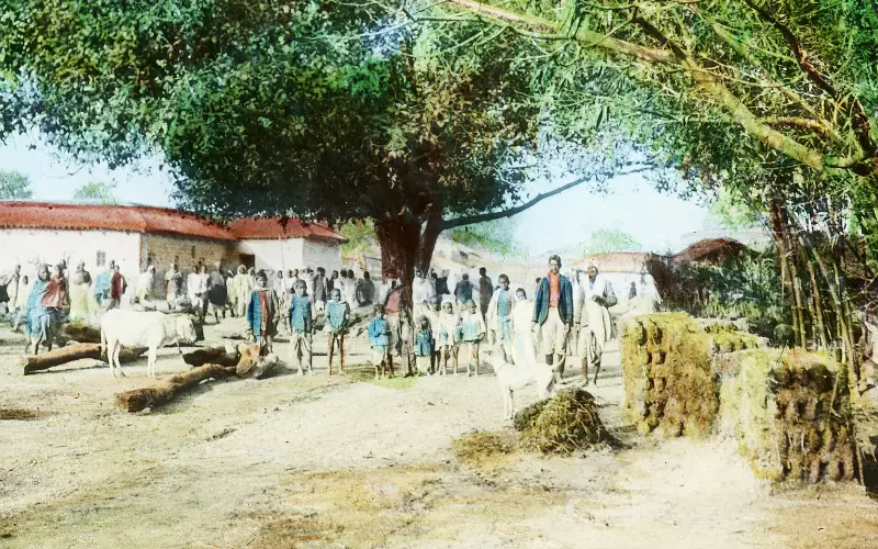 Bhithirwa (sic) village, Gopalganj, India, ca. 1915 (IMP-CSCNWW33-OS14-46)